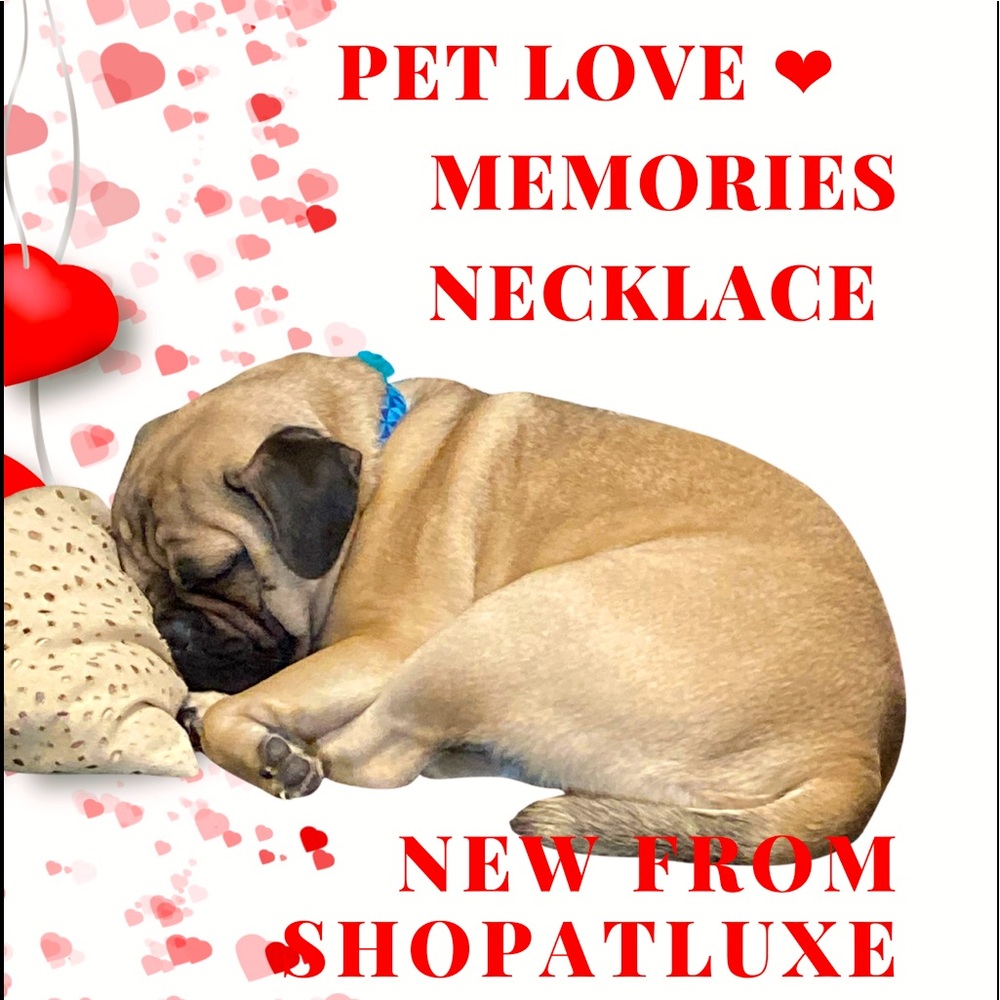❤️Pet Love Memories Necklace